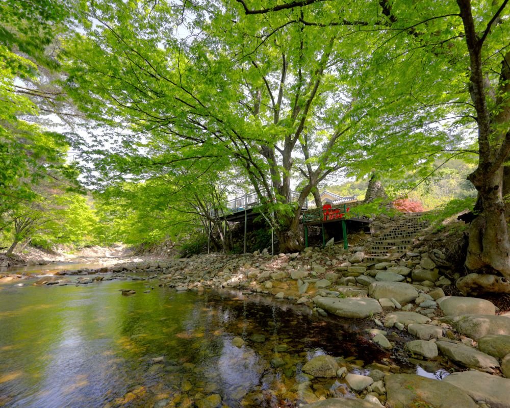 펜션마당 바로 옆 계곡과 폭포